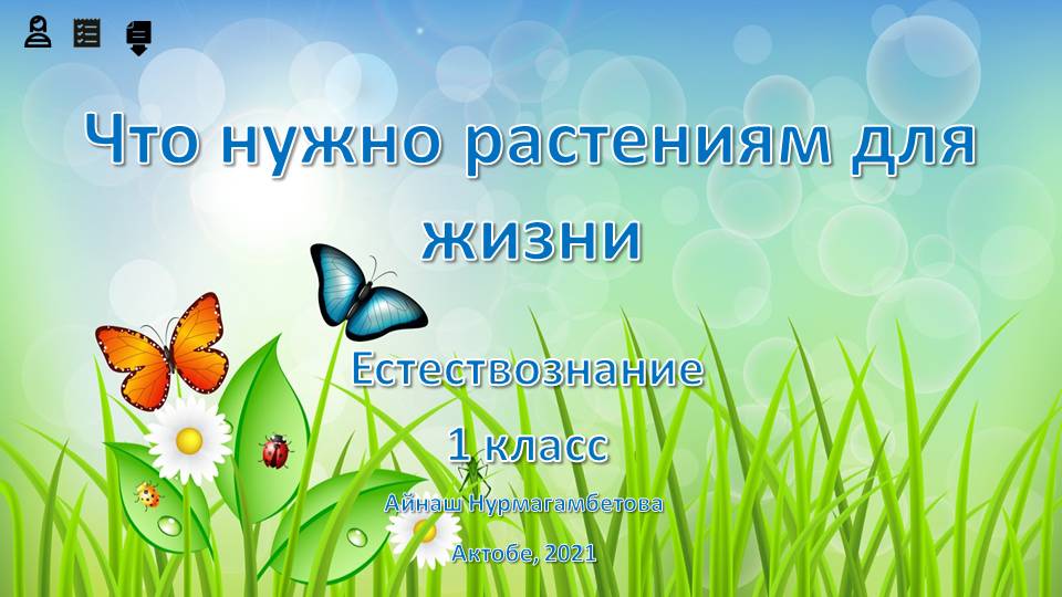 Естествознание 1 класс. Что нужно растениям для жизни. Что необходимо растению для жизни. Что необходимо для жизни растений 1 класс. Что нужно цветку для жизни.